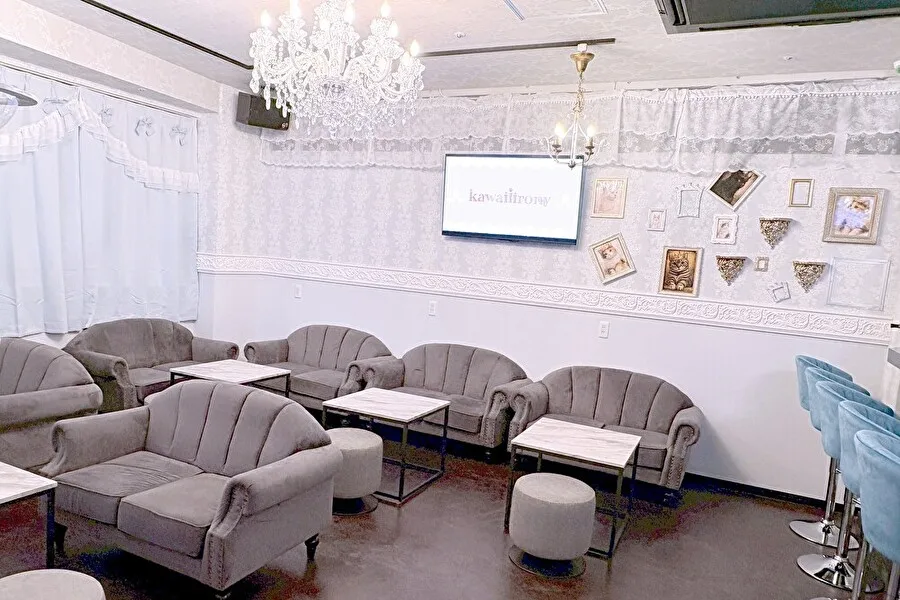 kawaiiirony/カワイイアイロニー