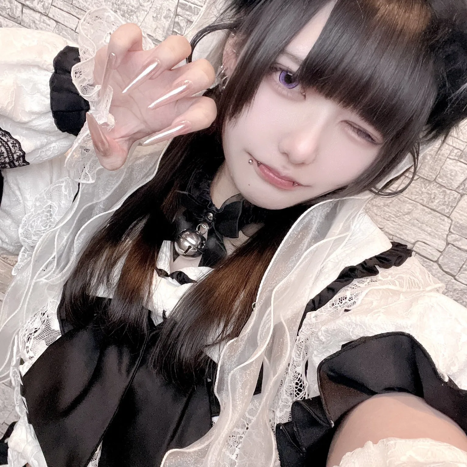 くろまめ